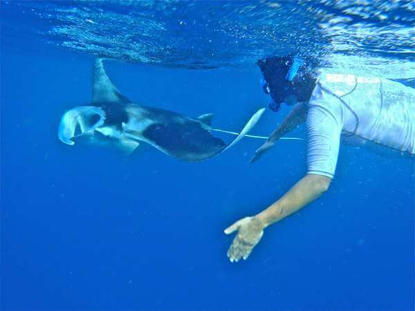 Stages pour apprendre à nager en vacance aux Maldives