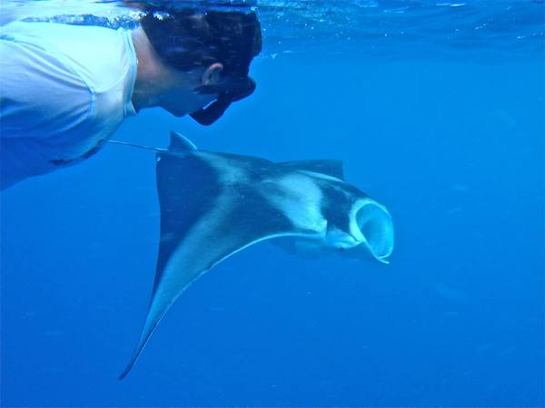 Stages pour apprendre à nager en vacance aux Maldives