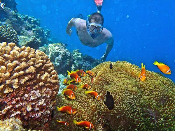 Stages pour apprendre à nager en vacance aux Maldives