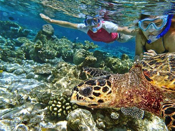 Stages pour apprendre à nager en vacance aux Maldives