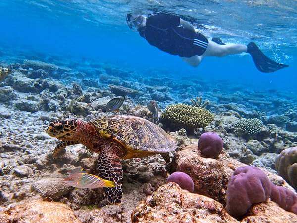 Stages pour apprendre à nager en vacance aux Maldives