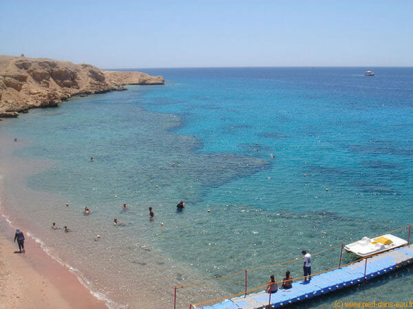 Stage de natation pour apprendre à nager en la mer Au Nord de la Mer Rouge