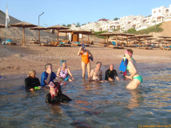 Stage de natation pour apprendre à nager en la mer Au Nord de la Mer Rouge