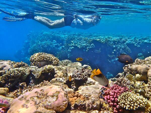 Stage de natation en mer