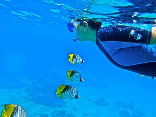 Stage de natation pour apprendre à nager en la mer Au Nord de la Mer Rouge