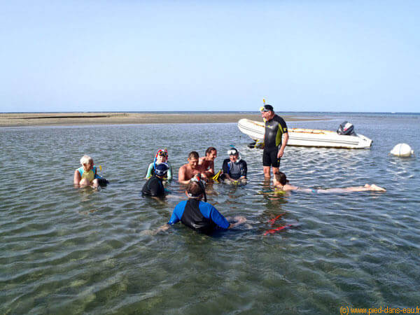 Stage en Mer avec les cours de natation Le Pied dans L'eau