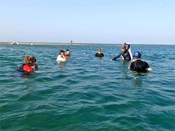 Stages de natation vacances Au Sud de la Mer Rouge